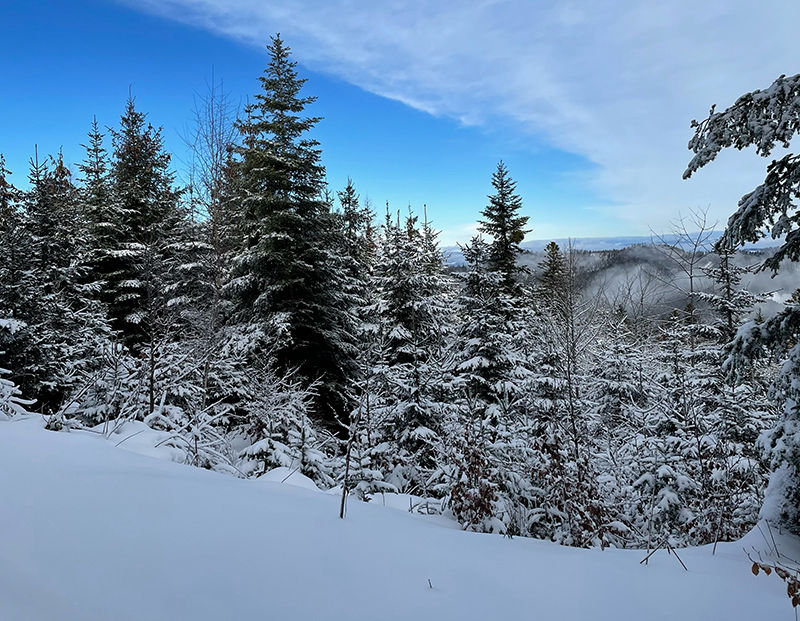 Schneebild